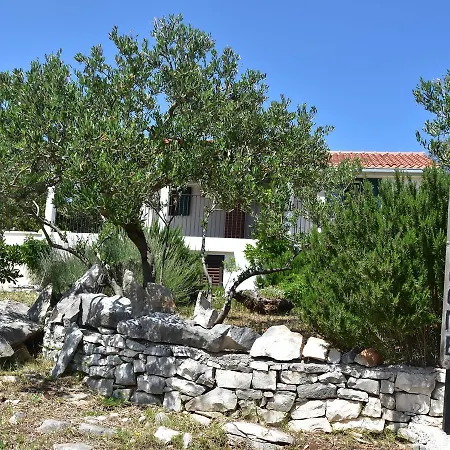 Modern In With Swimming Pool